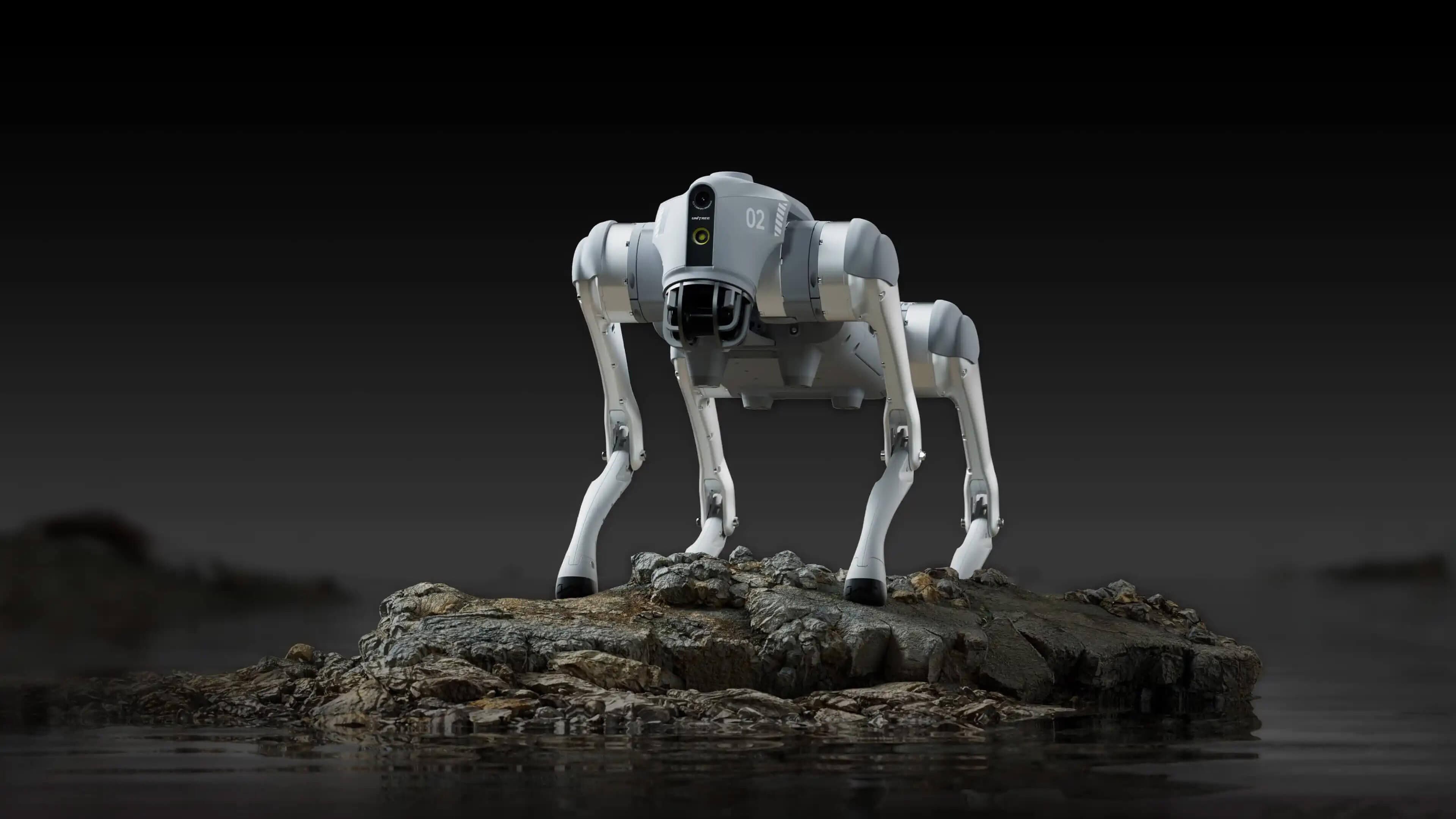 Unitree Go2 quadruped robot standing on rocky terrain against a dark background